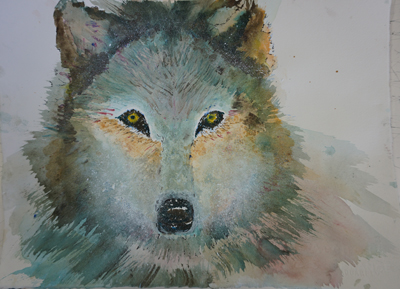 Mary Rose Mumme's dog